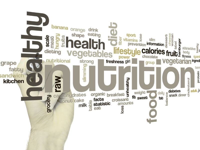 Nutrição