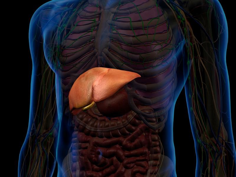 Exame de Calorimetria Indireta em Repouso